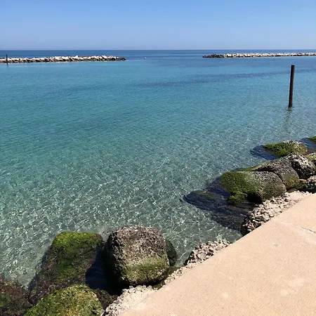 Interno 9 Casa de hóspedes